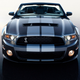 Illustration for article titled 2010 Ford Shelby GT500 Coupe, Convertible